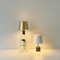 LED Bottle Light